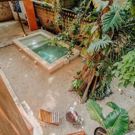 Mamacha - Natural Residence 巴利亚多利德 外观 照片